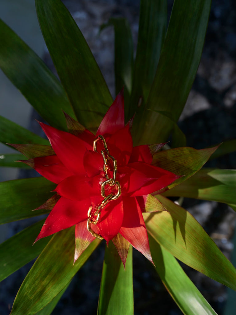 Red flower with a gold chain against a blurred green background